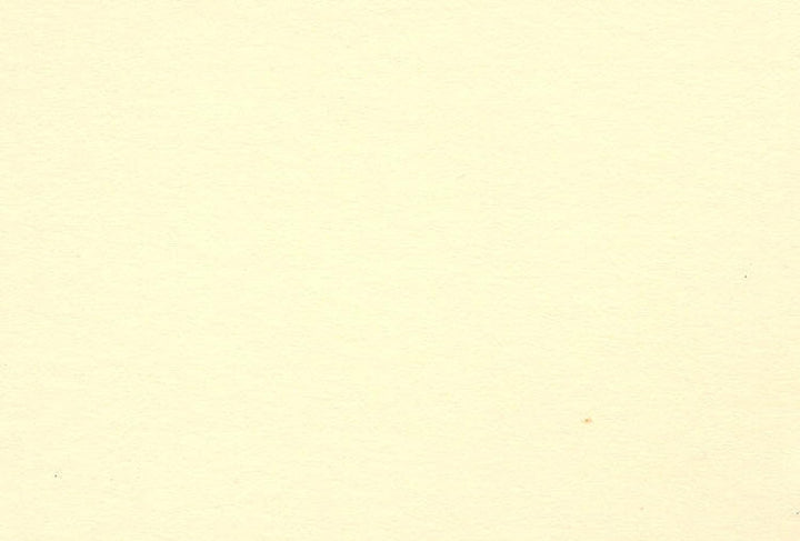 Clairefontaine GMB2/101Z Packung (mit 10 Bögen laminiertem Karton, DIN A2, 42 x 59,4 cm, 1,25 mm, 75