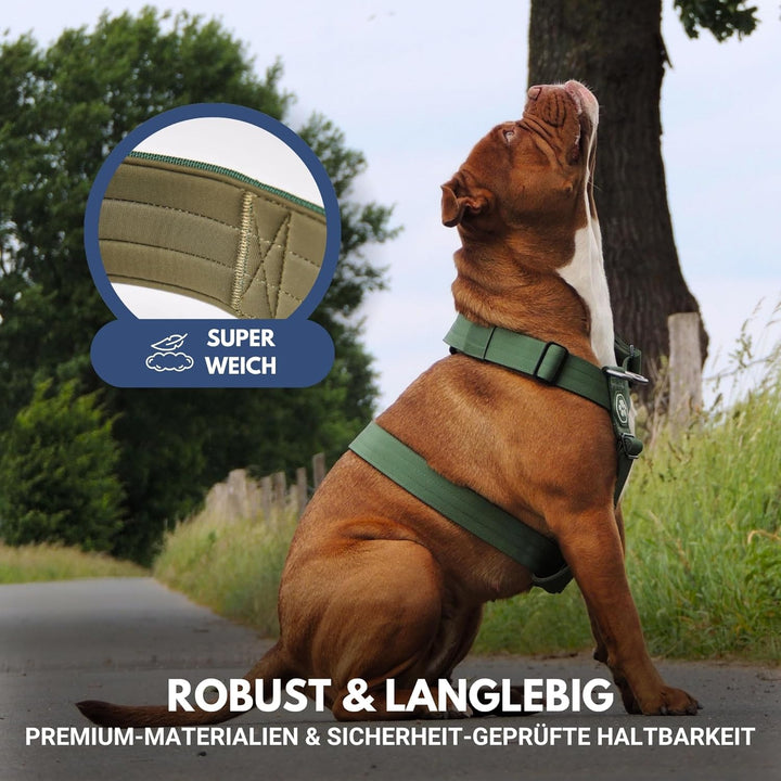 Spark Paws No Pull Hundegeschirr Grosse Hunde, Halterdesign mit Frontclip, Y Geschirr Hund, Robust u
