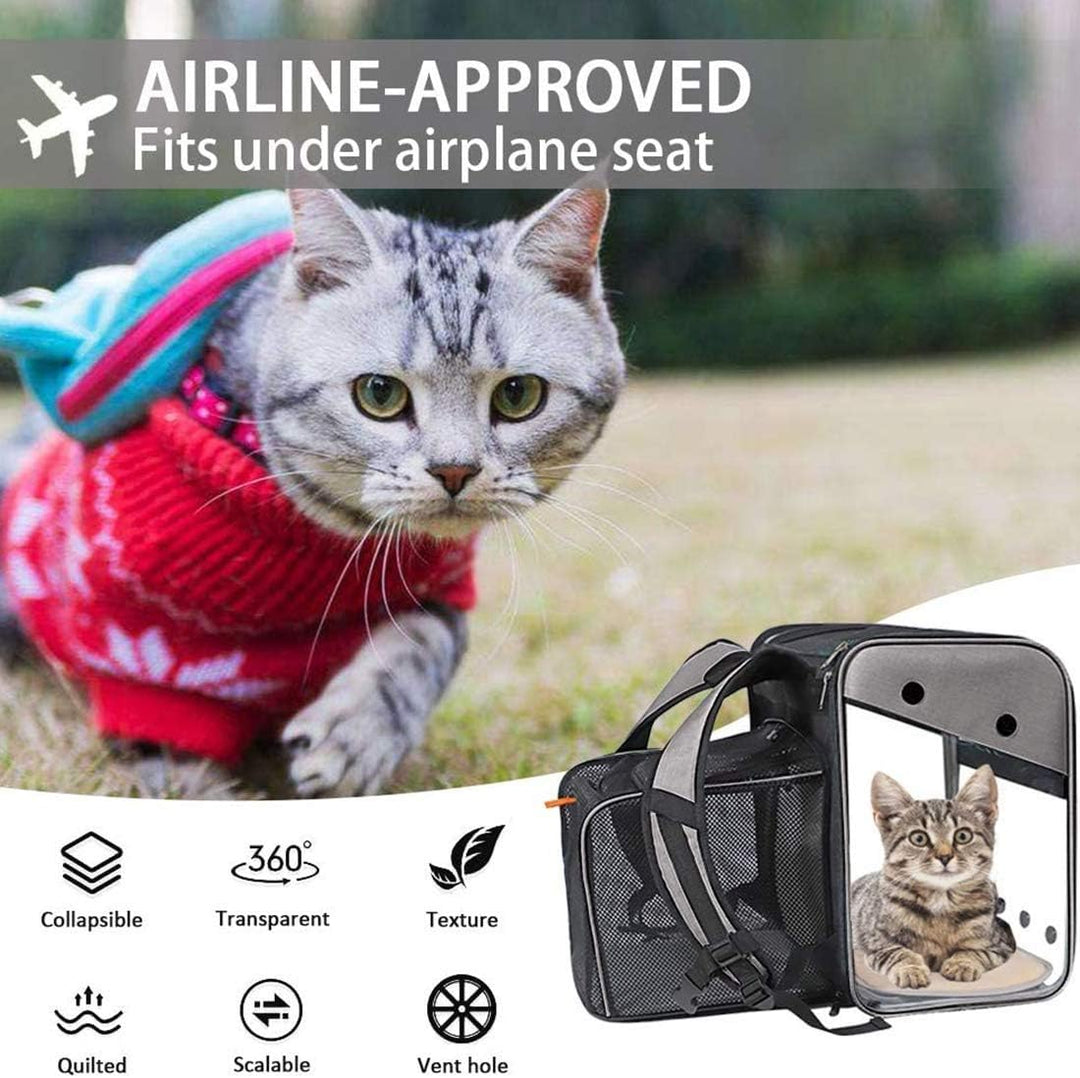 Transporttasche Rucksack Haustiere Hunde Katzen 10kg, Erweiterbare Grosse Tragbare Katzenrucksack Hu