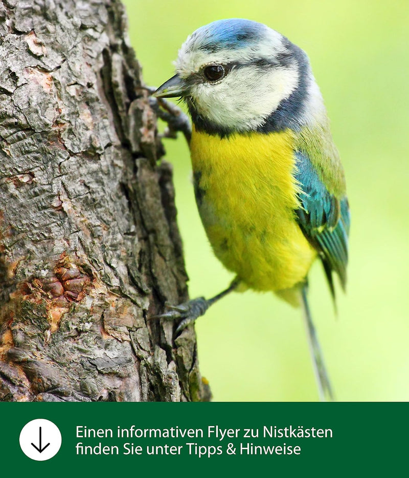 Dehner Natura Wildvogel-Nistkasten Birga, ca. 16 x 32.5 x 20.5 cm, aus FSC® - zertifiziertem Kiefern