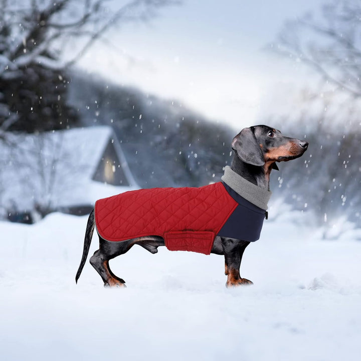 Geyecete Hundemantel Dackel, Dackel Wintermantel, Warmer Quilten Dackelmantel mit Geschirr Loch,Wind