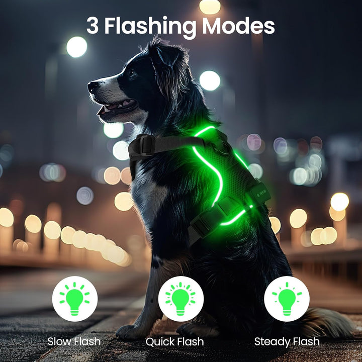 Light Up Dog Hundegeschirr Leuchtend LED Aufladbar - Leuchtgeschirr Leuchtend für Klein Mittelgrosse