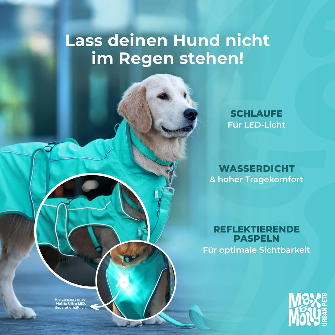Max &amp; Molly Regenmantel Hund wasserdicht, S, Turquoise, Sportliche Regenjacke für Hunde mit verstell