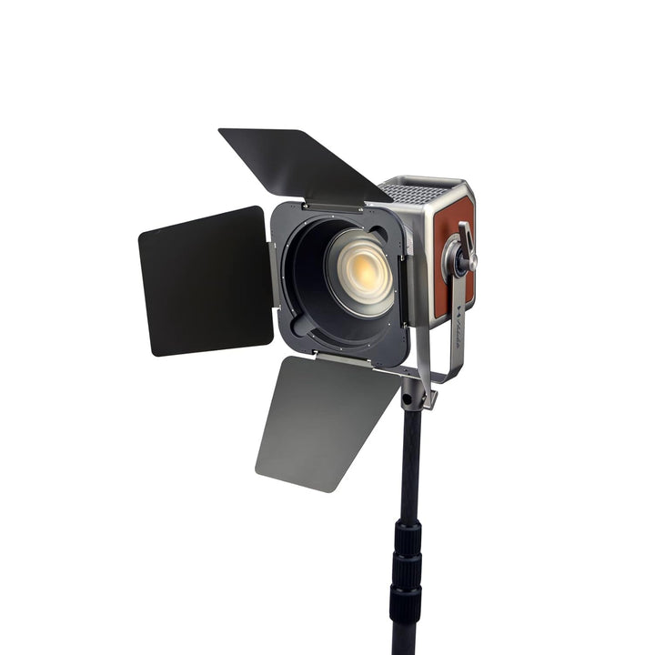 Hobolite Barndoors, Abschirmklappen Set für Pro LED-Dauerlicht für Fotografie (300 W) Pro Barndoor-S