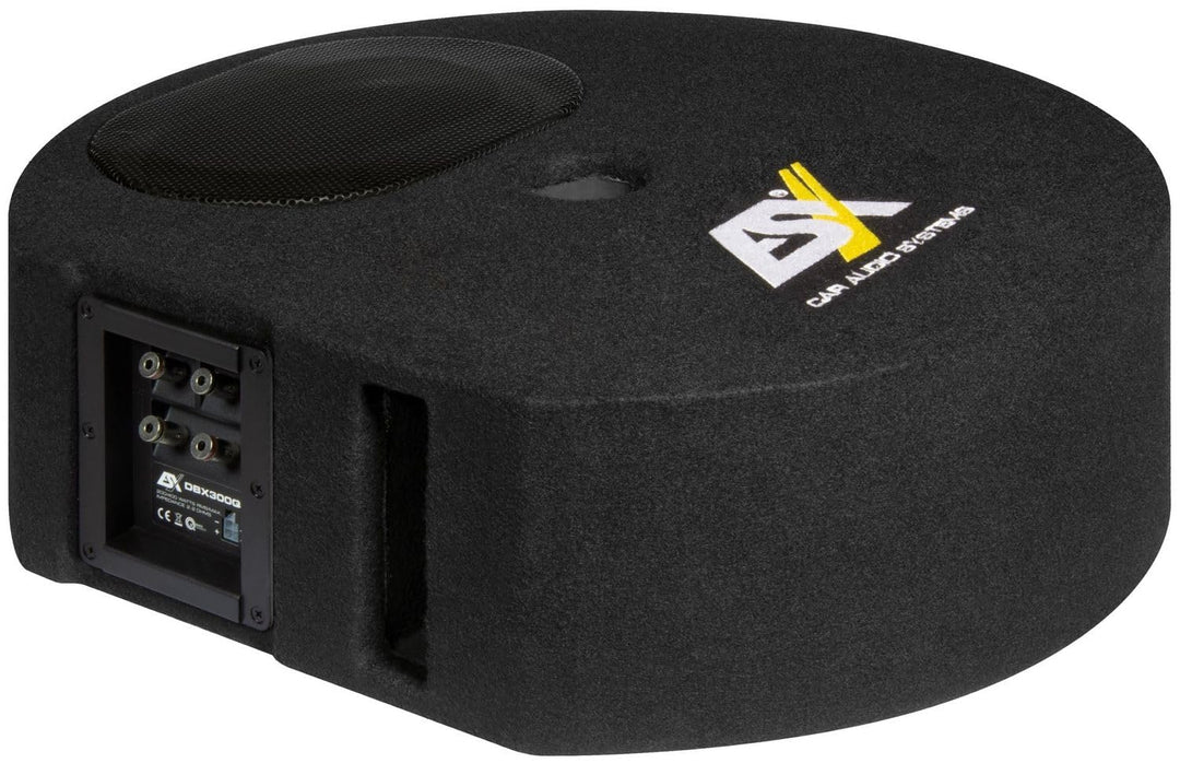 ESX B-Ware DBX300Q | 15 x 23 cm (6 x 9') Bassreflex-System für die Reserverad-Mulde