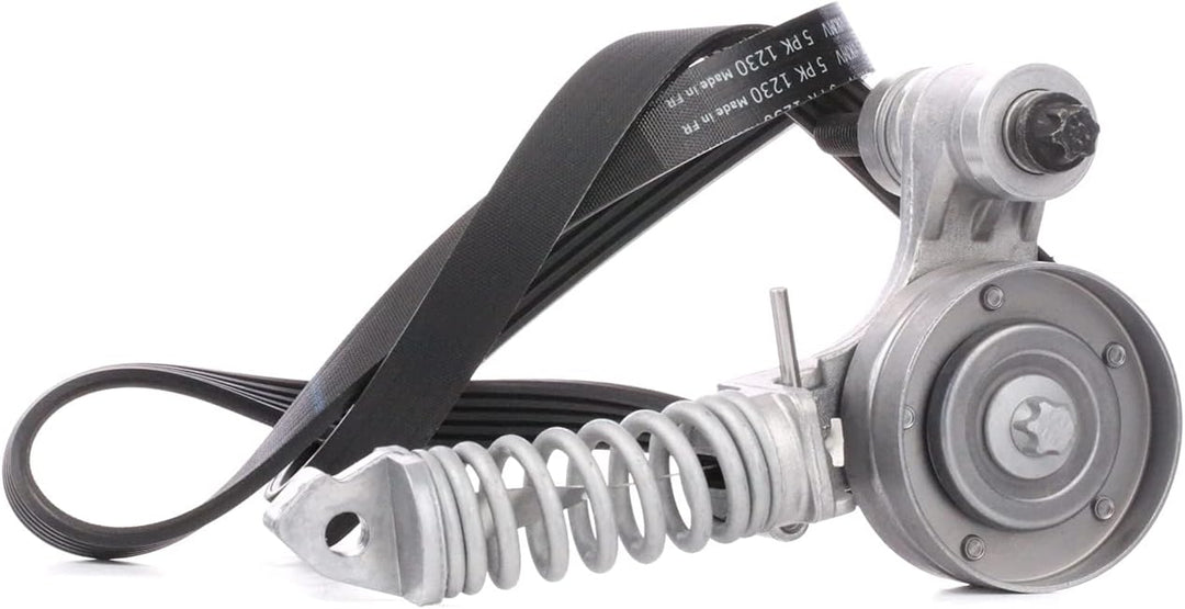 SKF VKMA35113 VKMA 35113 Spannrollensatz für Nebentrieb