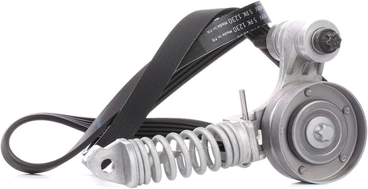 SKF VKMA35113 VKMA 35113 Spannrollensatz für Nebentrieb