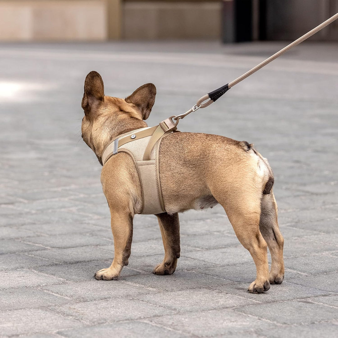 Vest Harness curli Clasp Cord Tan XS XS Braun (Tan), XS Braun (Tan)