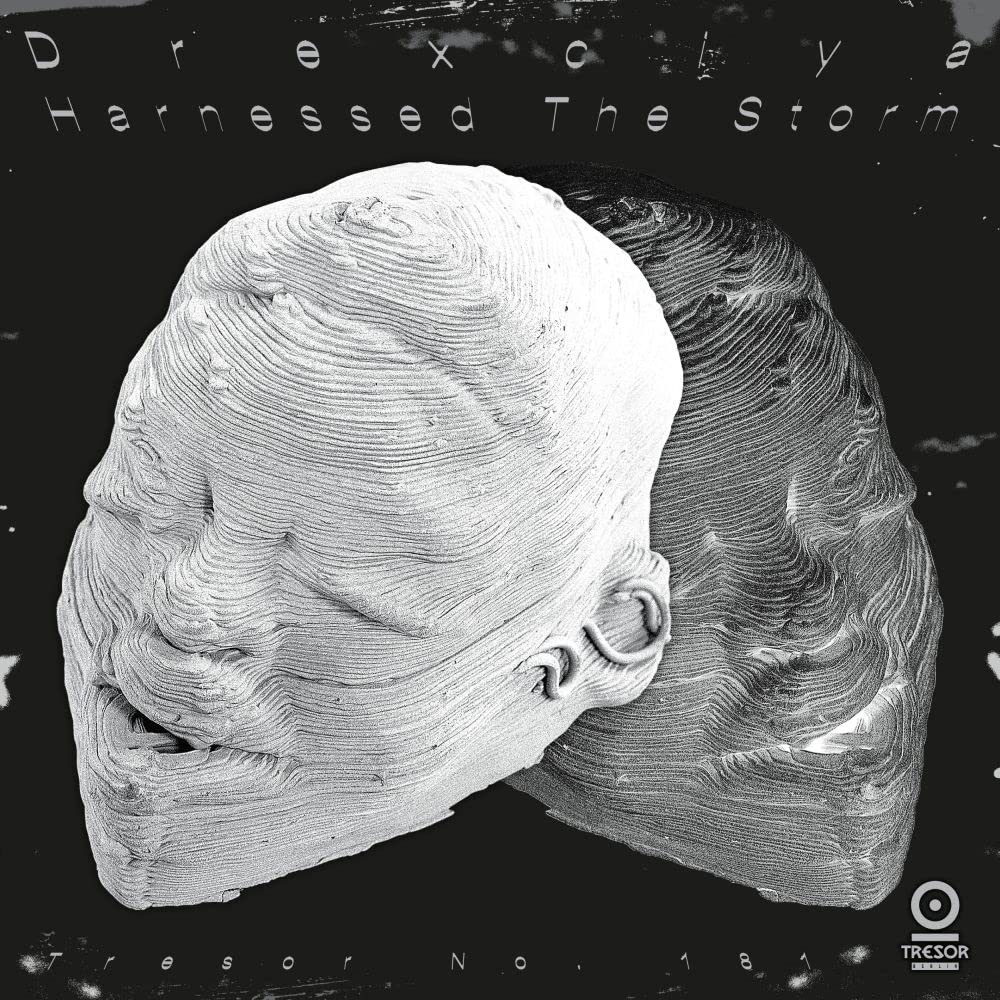 Harnessed the Storm 2022 Re), Vinyl