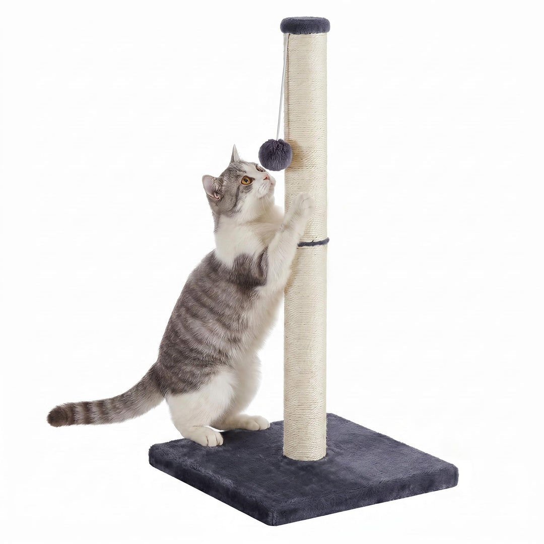 Feandrea Kratzbaum, Kratzsäule mit Sisalstamm, Plüschball, 40 x 40 x 84 cm | Katzenbaum für Kätzchen