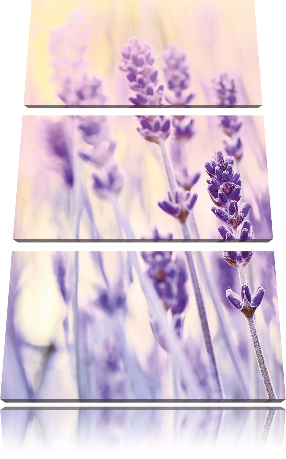 Pixxprint Lavendel / 3-Teilig/Gesamtmass 120cm Leinwandbild bespannt auf Holzrahmen/Wandbild Kunstdr