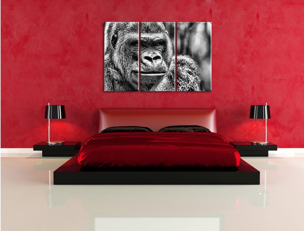 Pixxprint stolzer Gorilla als Leinwandbild/Grösse: 3 Teilig (120x80 cm) cm/Wandbild/Kunstdruck/ferti