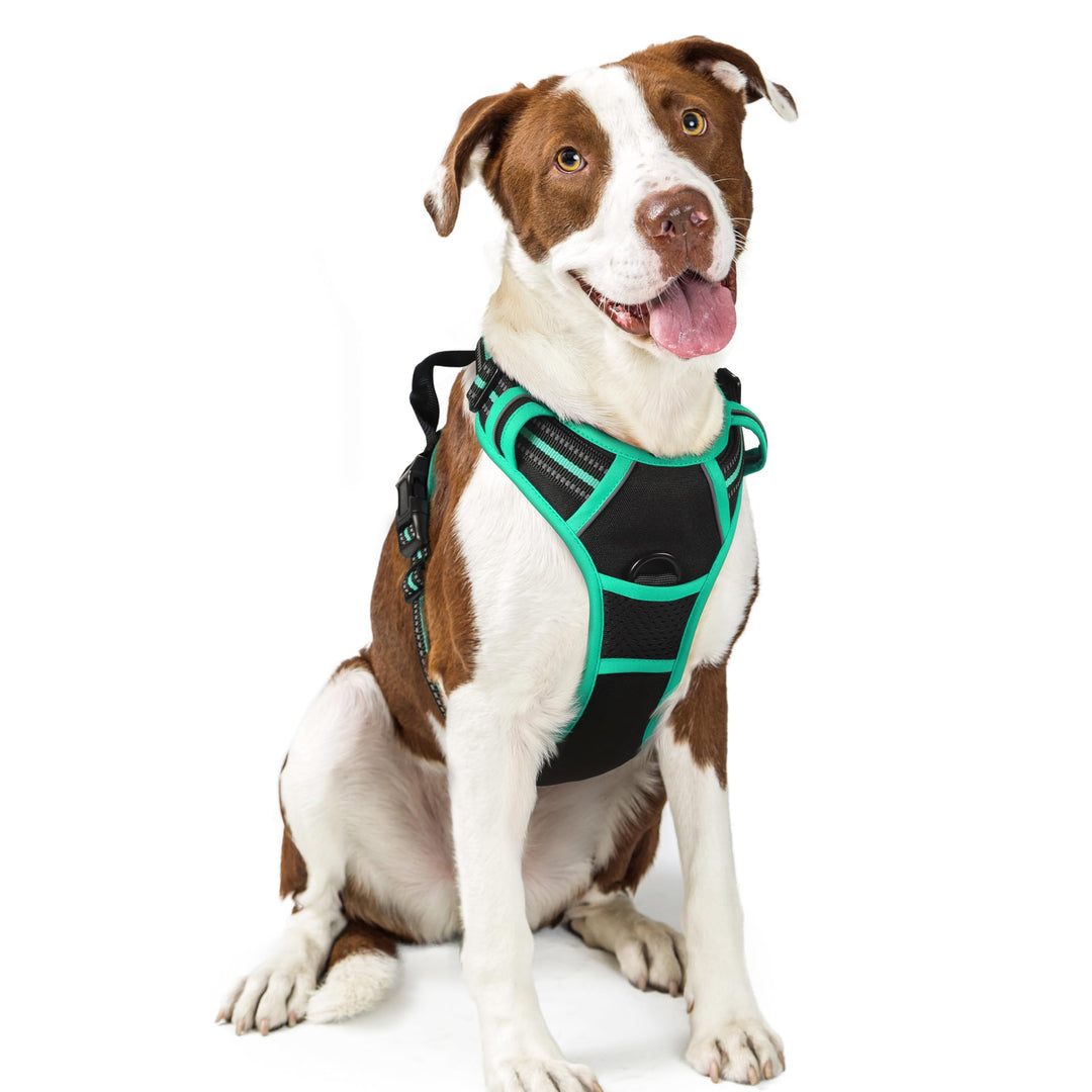 rabbitgoo Hundegeschirr Mittelgrosse Hunde, Anti Zug Geschirr mit Kontrolle, No Pull Verstellbar Hun