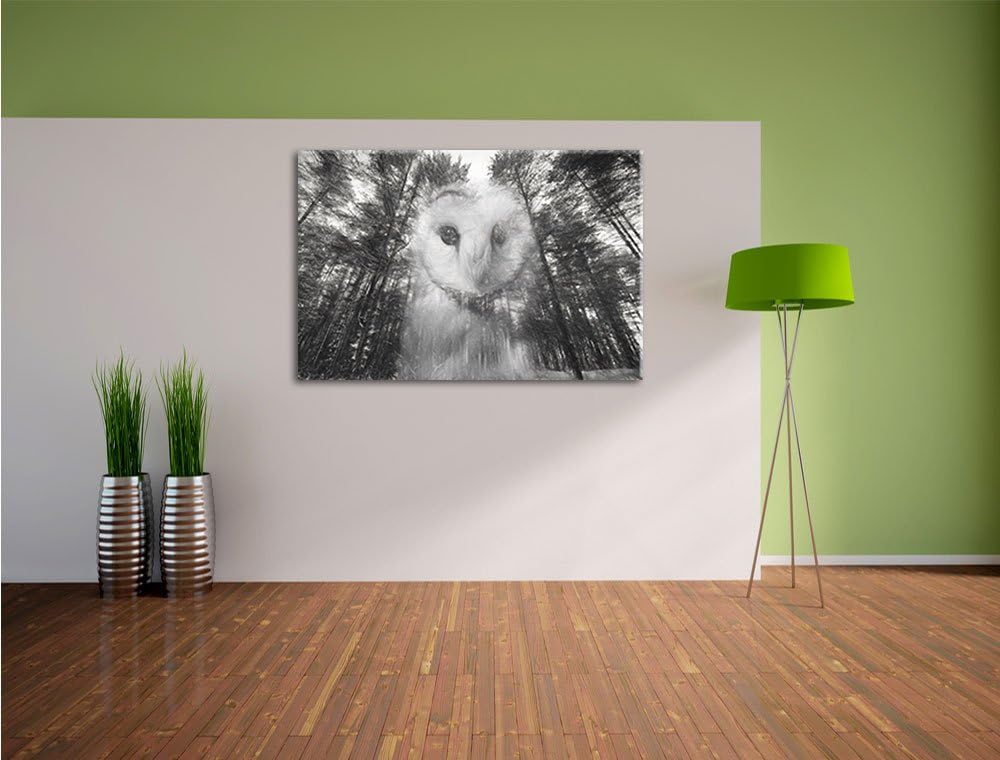Pixxprint Portrait Einer Eule als Leinwandbild/Grösse: 100x70 / Wandbild/Kunstdruck/fertig bespannt,