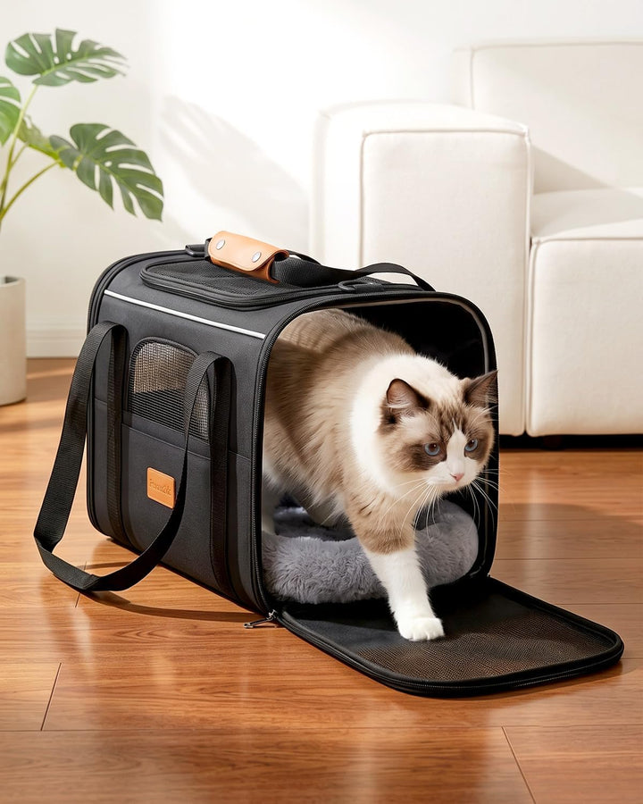Katzentransporttasche faltbar bis 10 kg – Stabile Transportbox für Katzen &amp; kleine Hunde mit Stahlra