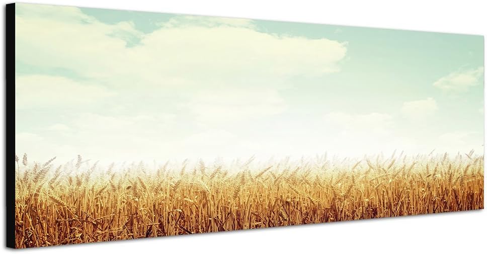 Paul Sinus Art Bilder Wand Bild - Kunstdruck 150x50cm Kornfeld Herbst Wolken Vintage