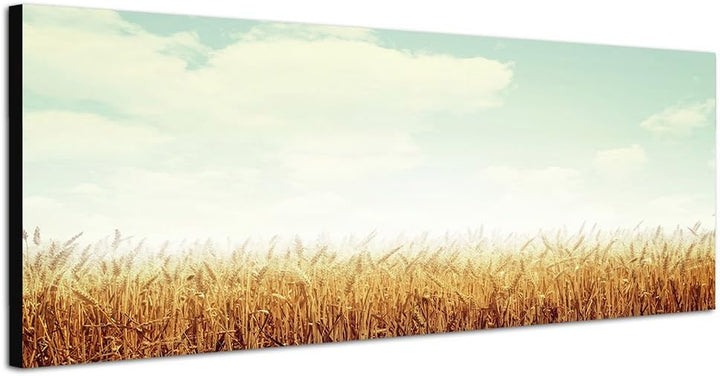 Paul Sinus Art Bilder Wand Bild - Kunstdruck 150x50cm Kornfeld Herbst Wolken Vintage
