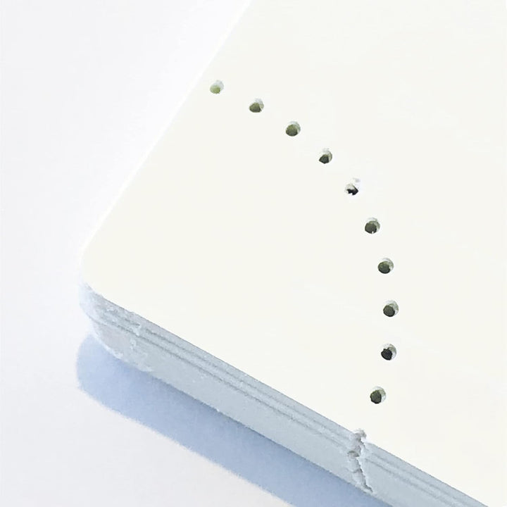Exacompta 29/2 29422 Diary 29/2 mit Cover aus Kunststoff für 10 Anwender Januar bis Dezember in Fren