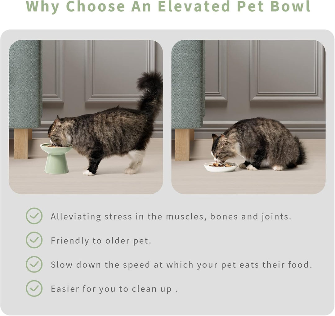 CEEFU 2 extra breiter erhöhter Katzenfutternapf, Keramik-Katzennäpfe für Futter und Wasser, breite f