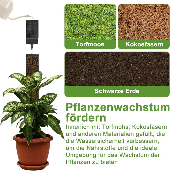 4 Stück Moosstab für Monstera Rankhilfe, 25 cm Moosstab Selbstbewässerung Erweiterbar, Rankstab Mons
