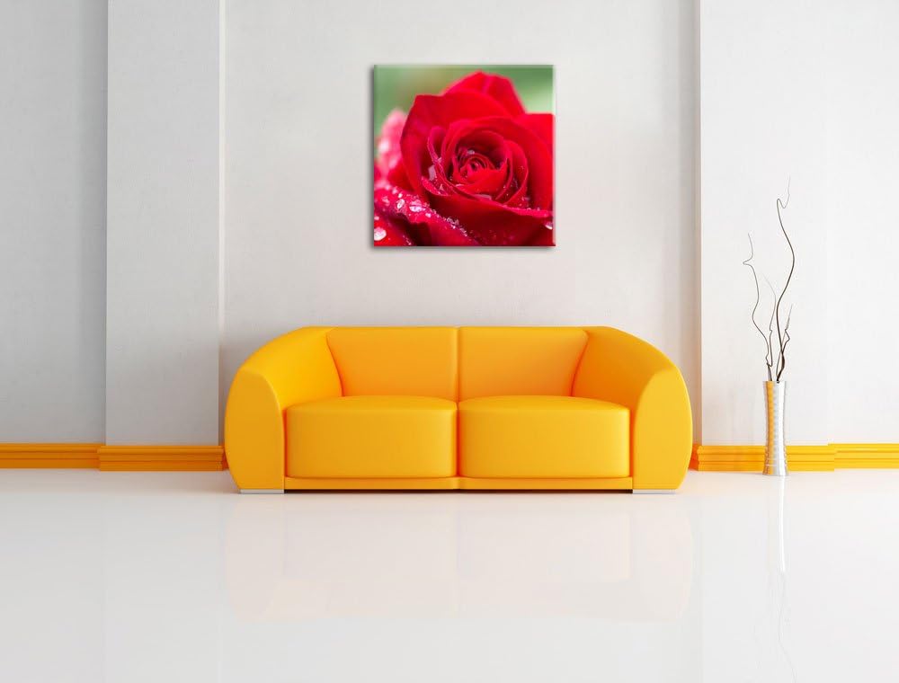 Pixxprint Rose mit Wassertropfen als Leinwandbild/Grösse: 70x70 cm/Wandbild/Kunstdruck/fertig bespan