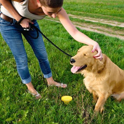 Simple Solution Pee Post | Outdoor-Hundetrainingshilfe | Pheromon infundierter Hunde-Pinkelständer E