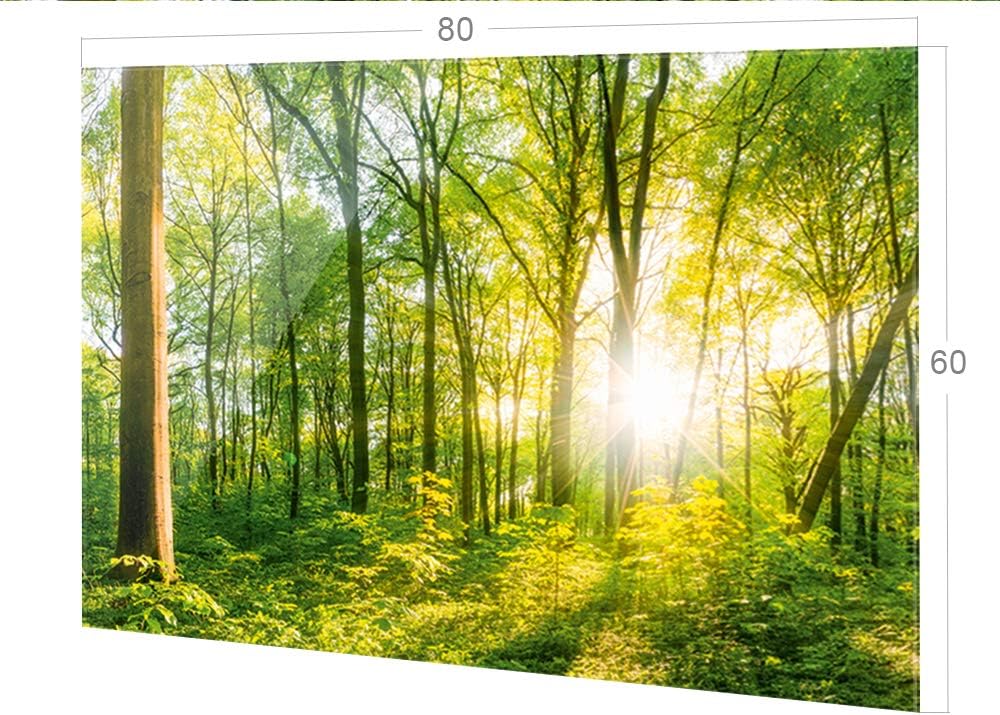 GRAZDesign Spritzschutz Küche Glas Wald, Lichtung, Bäume in Grün, Küchenrückwand Glas für Herd und S
