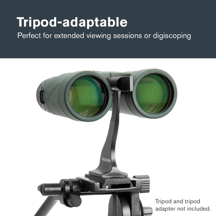 Celestron 71332 Nature DX 8 x 42 mm Ferngläser mit mehrfach vergütete Linse, BaK-4 Prismenlinse und