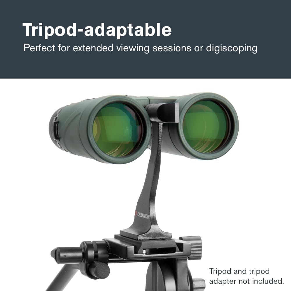 Celestron 71333 Nature DX 10 x 42 mm Ferngläser mit mehrfach vergüteter Linse, BaK-4 Prismenlinse un