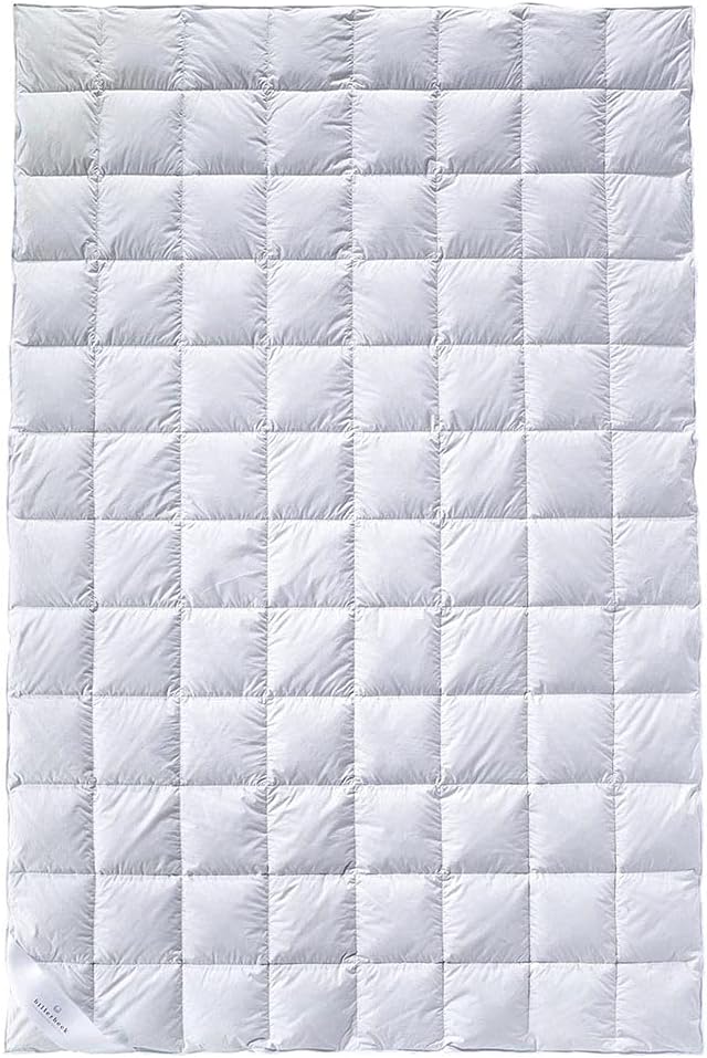Billerbeck Daunendecke Bali Superlight - Sommerdecke 155 x 220 cm