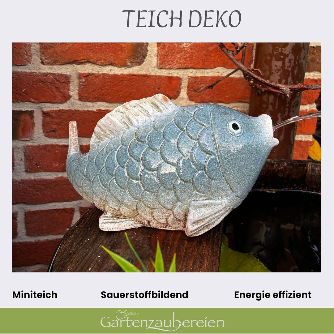 Storm&