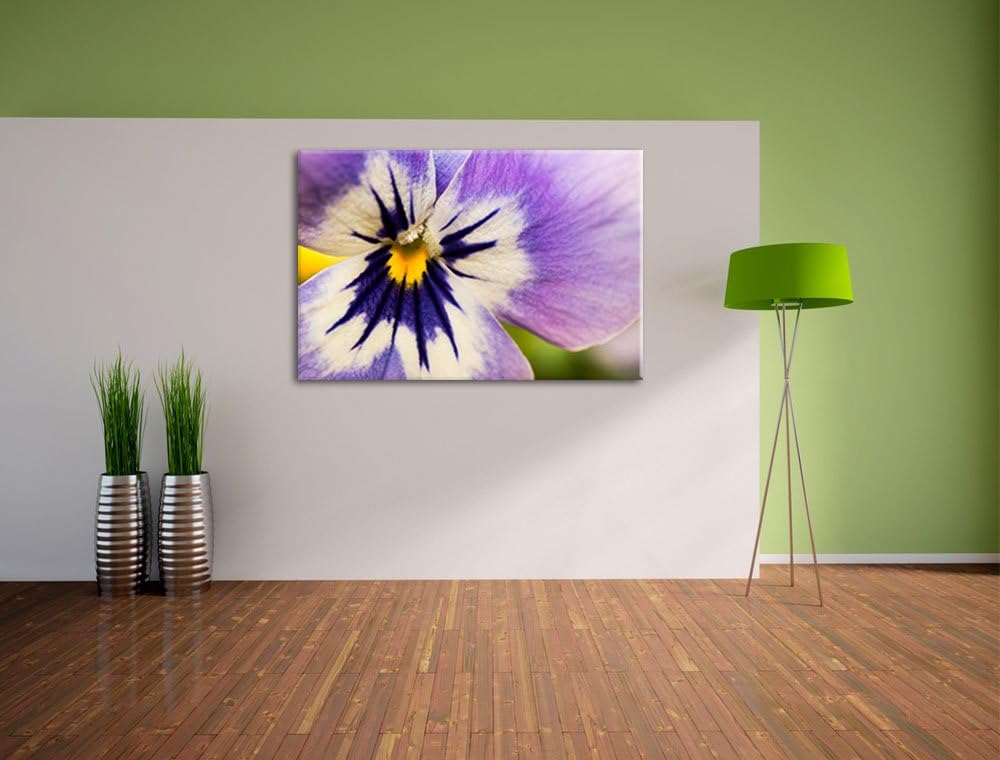Pixxprint farbenfrohes Stiefmütterchen auf Leinwand, XXL riesige Bilder fertig gerahmt mit Keilrahme