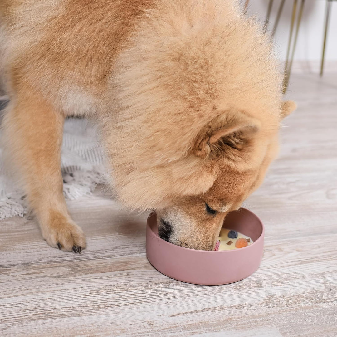 ne&amp;no® Silikon Fressnapf 1200 ml für kleine und mittelgrosse Hunde | Futternapf Hund rutschfest | Hu