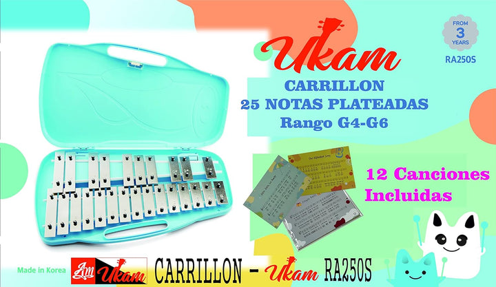 25 silberfarbene Noten UKAM Modell RA250S, Notizen, mit Notizen, inklusive 2 farbigen Sticks, Aufkle