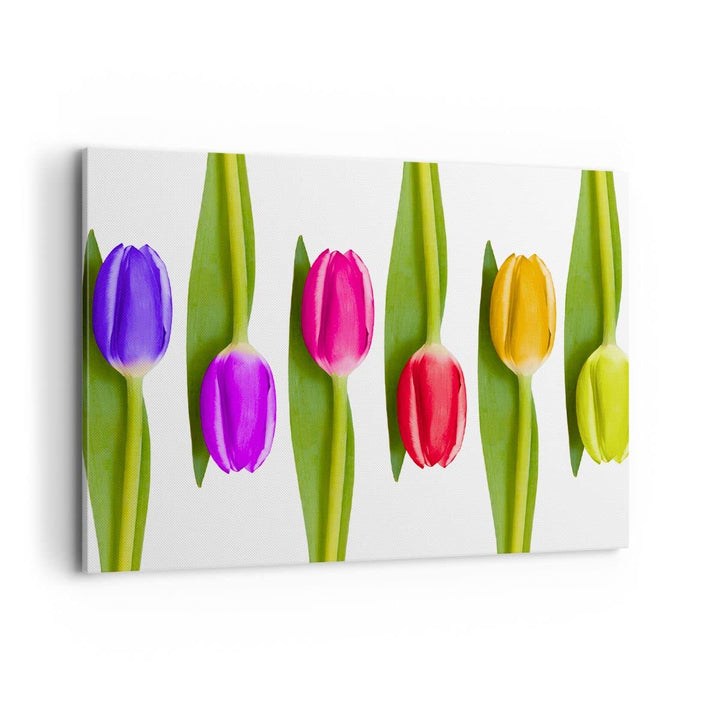 Bilder auf Leinwand 100x70cm Leinwandbild Tulpe Blume Garten Komposition Gross Wanddeko Bild Schlafz