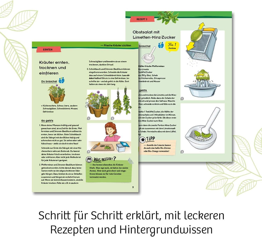 KOSMOS 632090 - Kräuter-Garten, Züchte duftende Kräuter auf der Fensterbank, Mit Gewächshaus und Mör