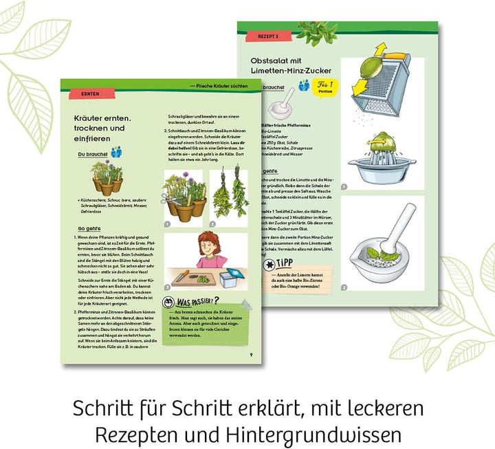 KOSMOS 632090 - Kräuter-Garten, Züchte duftende Kräuter auf der Fensterbank, Mit Gewächshaus und Mör