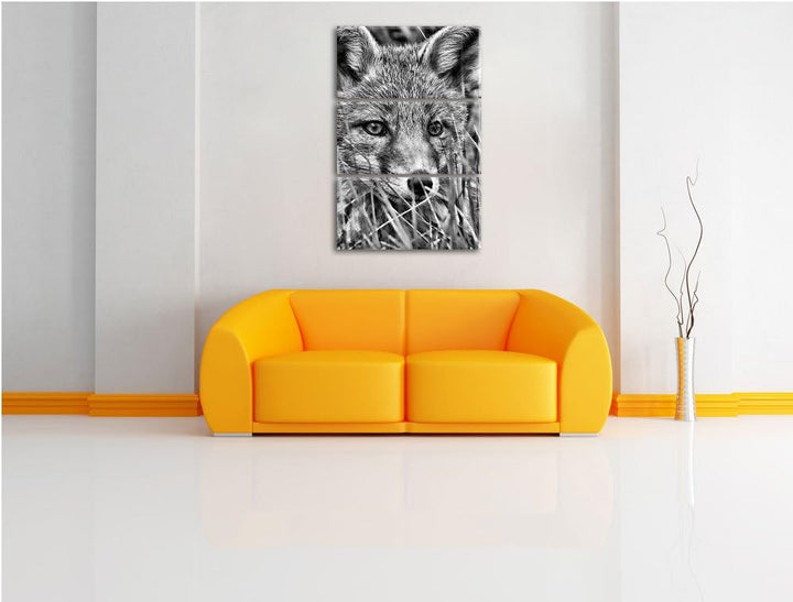 Pixxprint Monocrome, junger Fuchs auf Wiese 3-Teiler Leinwandbild 120x80 Bild auf Leinwand