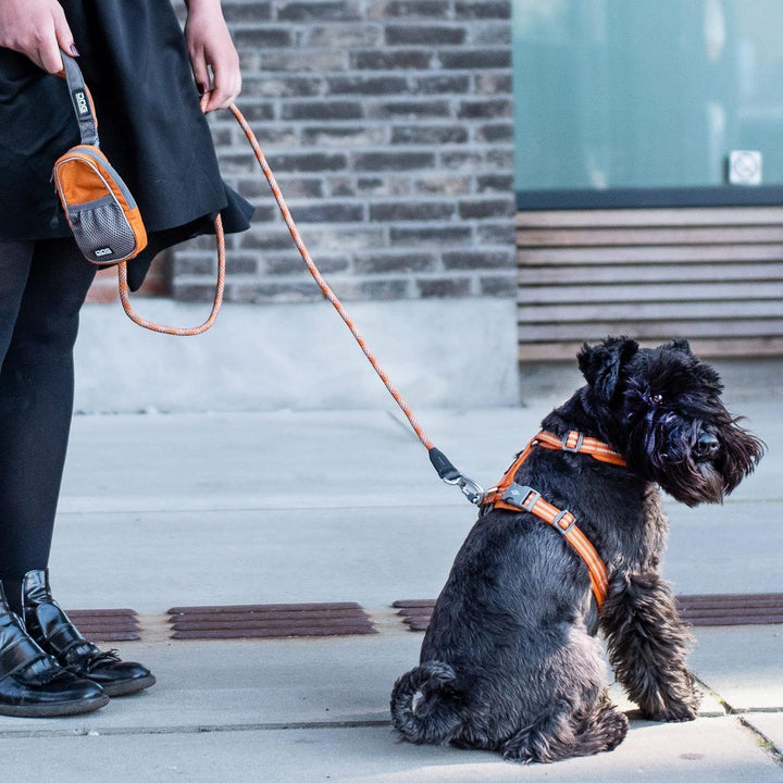 DOG Copenhagen Schleppleine, Urban Rope Leash - Grösse S - Classic Red S Classic Red, S Classic Red