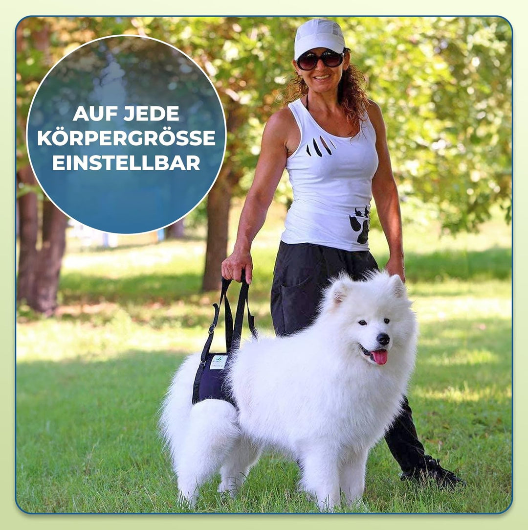 Hunde Tragehilfe XL Blau/ Hunde Gehhilfe / Hunde Rehahilfe, das Hilfsgeschirr für Probleme an der Wi