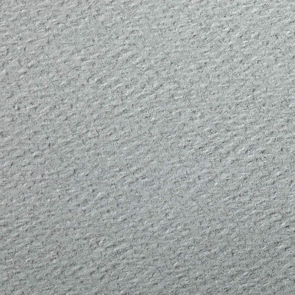 Clairefontaine 93795C Packung (mit 24 Bögen Zeichenpapier Etival Color, 50 x 65 cm, 160g, gekörnt, i
