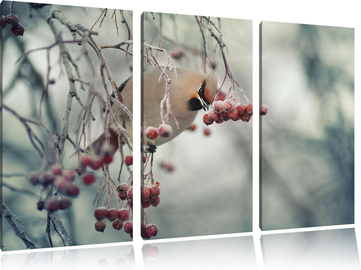 Pixxprint Kleiner Vogel im Vogelbeerbaum als Leinwandbild/Grösse: 3 Teilig (120x80 cm) cm/Wandbild/K
