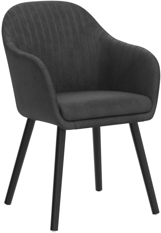 WOLTU Esszimmerstühle 2er Set, für Schlafzimmer Küche Wohnzimmer, Küchenstühle gepolstert mit Armleh
