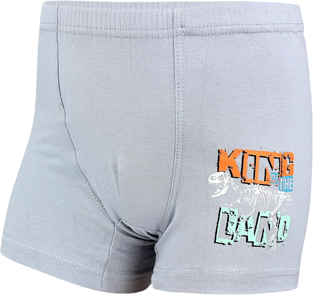 TupTam Boxershorts – Kinder Boxershorts Unterwäsche, Unterhosen im 10er oder 5er Pack 92-98 10er Pac