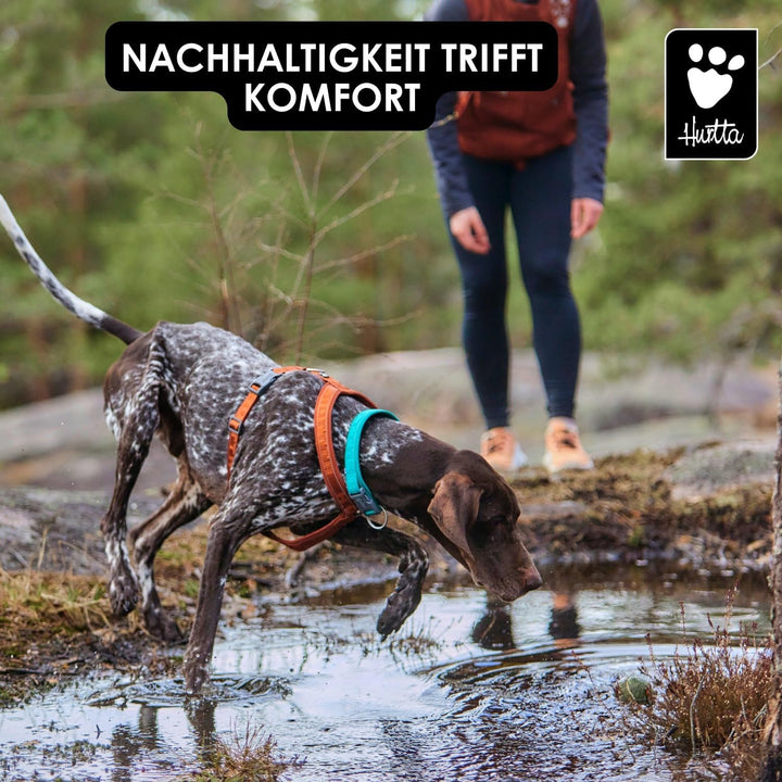 Hurtta Casual Y-Geschirr ECO Komfortables nachhaltiges Hundegeschirr (Cinnamon, 50-60 cm) 50-60 cm C