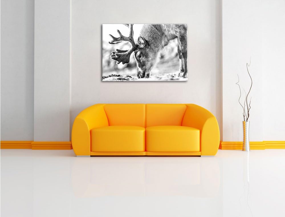 Pixxprint süsses Rentier beim Essen Kunst B&W als Leinwandbild/Grösse: 100x70 cm/Wandbild/Kunstdruck