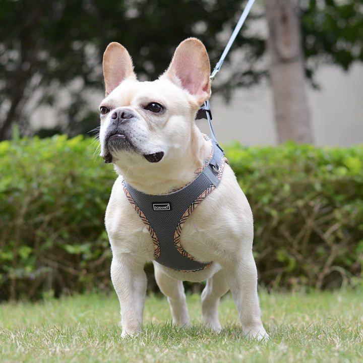 DORAMIO Hundegeschirr Kleine Hunde mit Leine, Step-in Geschirr Reflektierend Atmungsaktiv Brustgesch