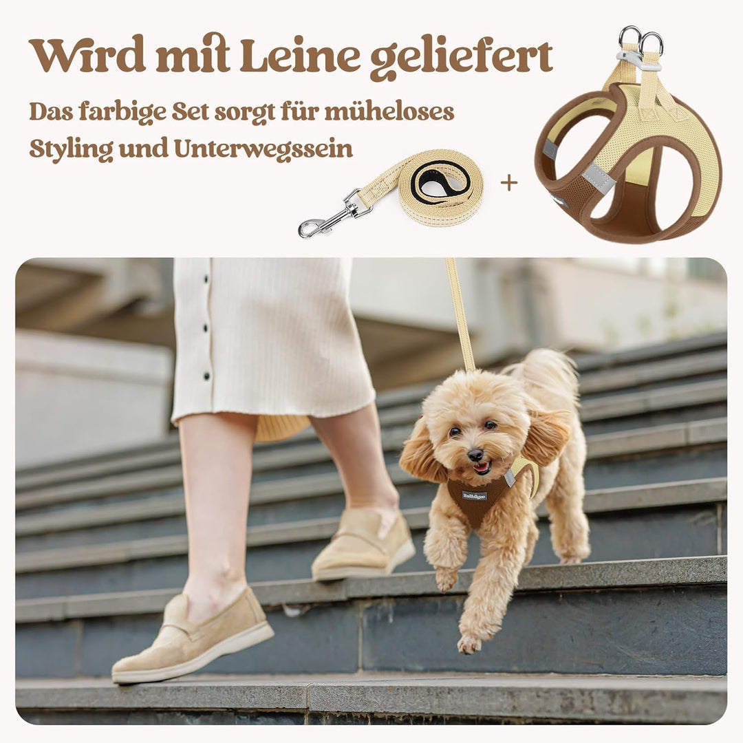 rabbitgoo Hundegeschirr Kleine Hunde mit Leine, Step-in Welpengeschirr Weich Mesh für Spaziergänge,