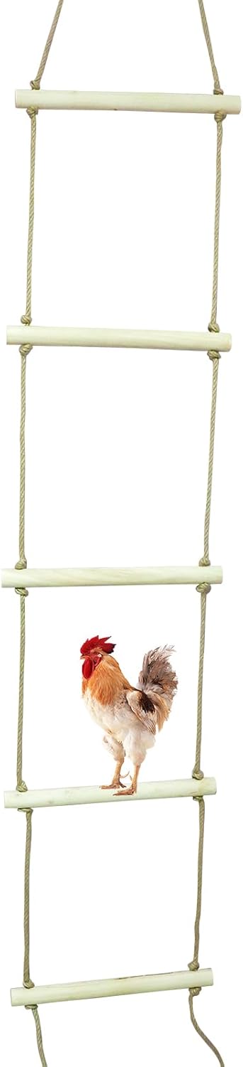 Dnoifne Extra Langer Hühnersitzstange aus Naturholz – Schaukel & Ruheplatz für Hühner, grosse Vögel