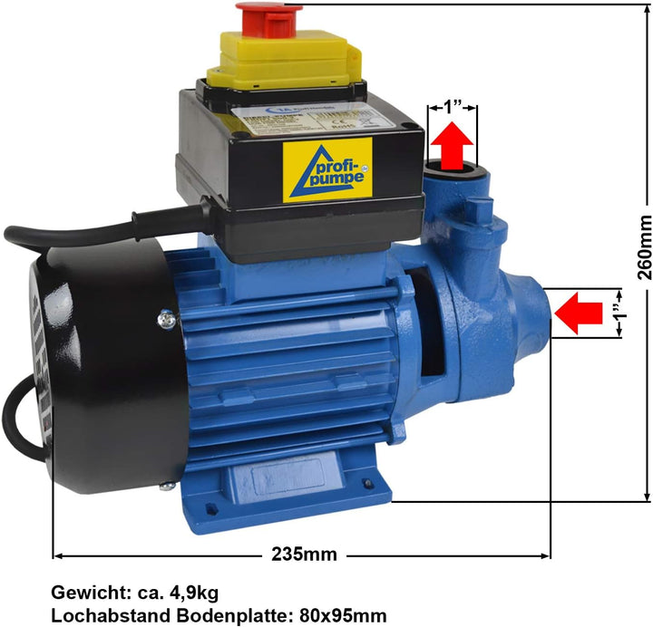 DIESELPUMPE HEIZÖLPUMPE ÖLPUMPE Biodiesel B-Ware Diesel Profi 600 ELEKTRISCHE 230V DIESELPUMPE Leist